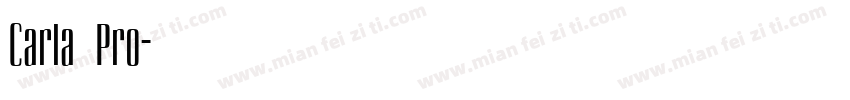 Carla Pro字体转换